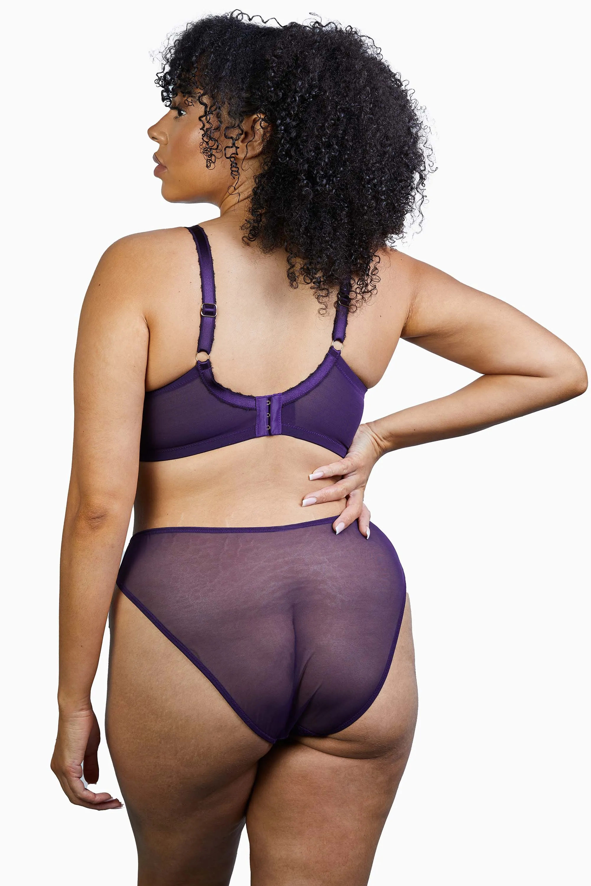 Emma Vine Purple Brazilian Lace Brief