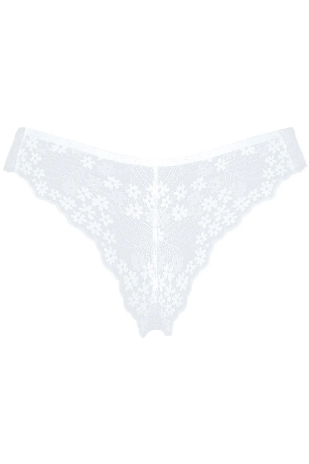 Heavenlly Brief
