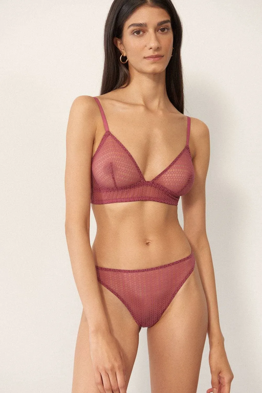 Honeycomb Brief