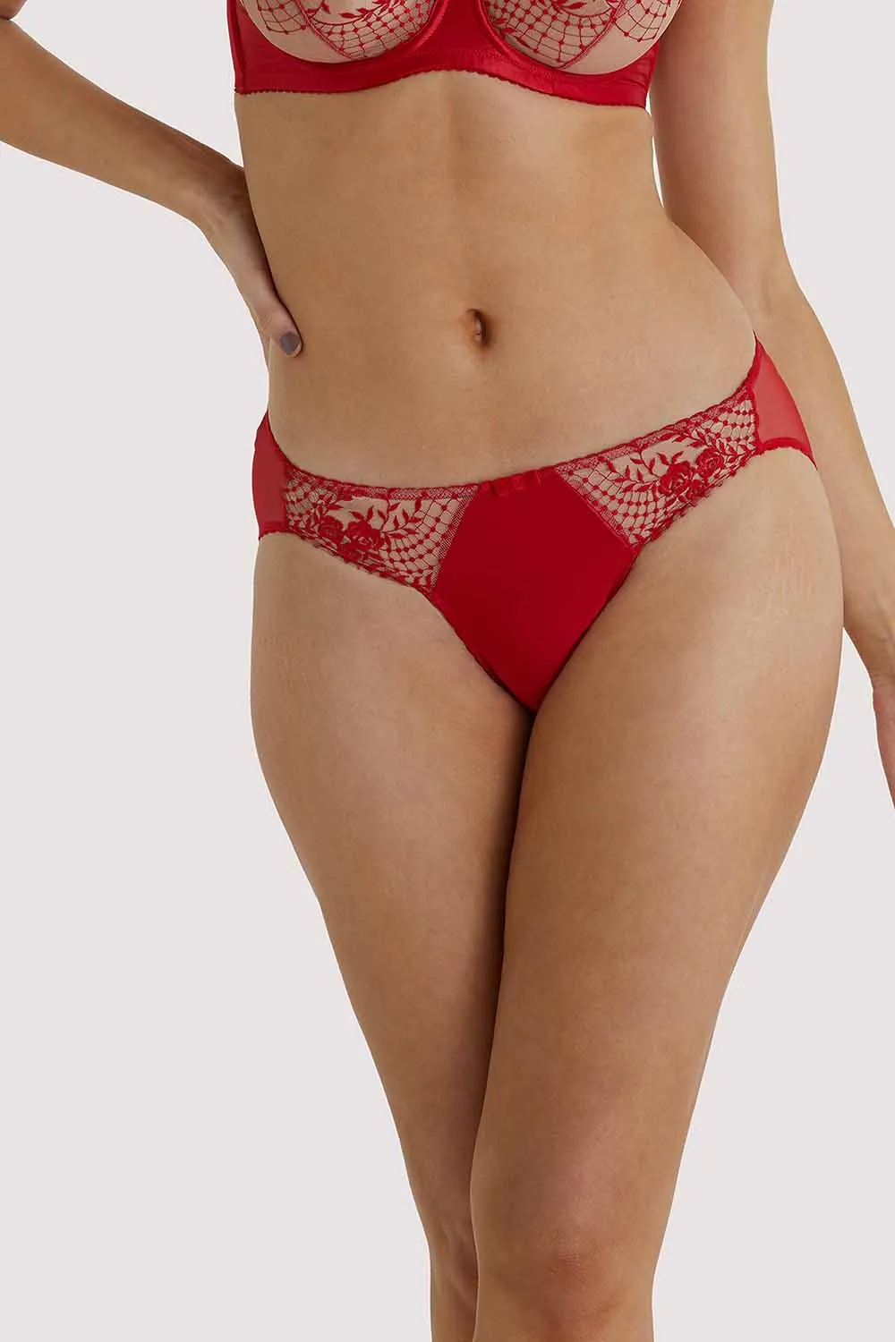 Julie's Roses Red Briefs